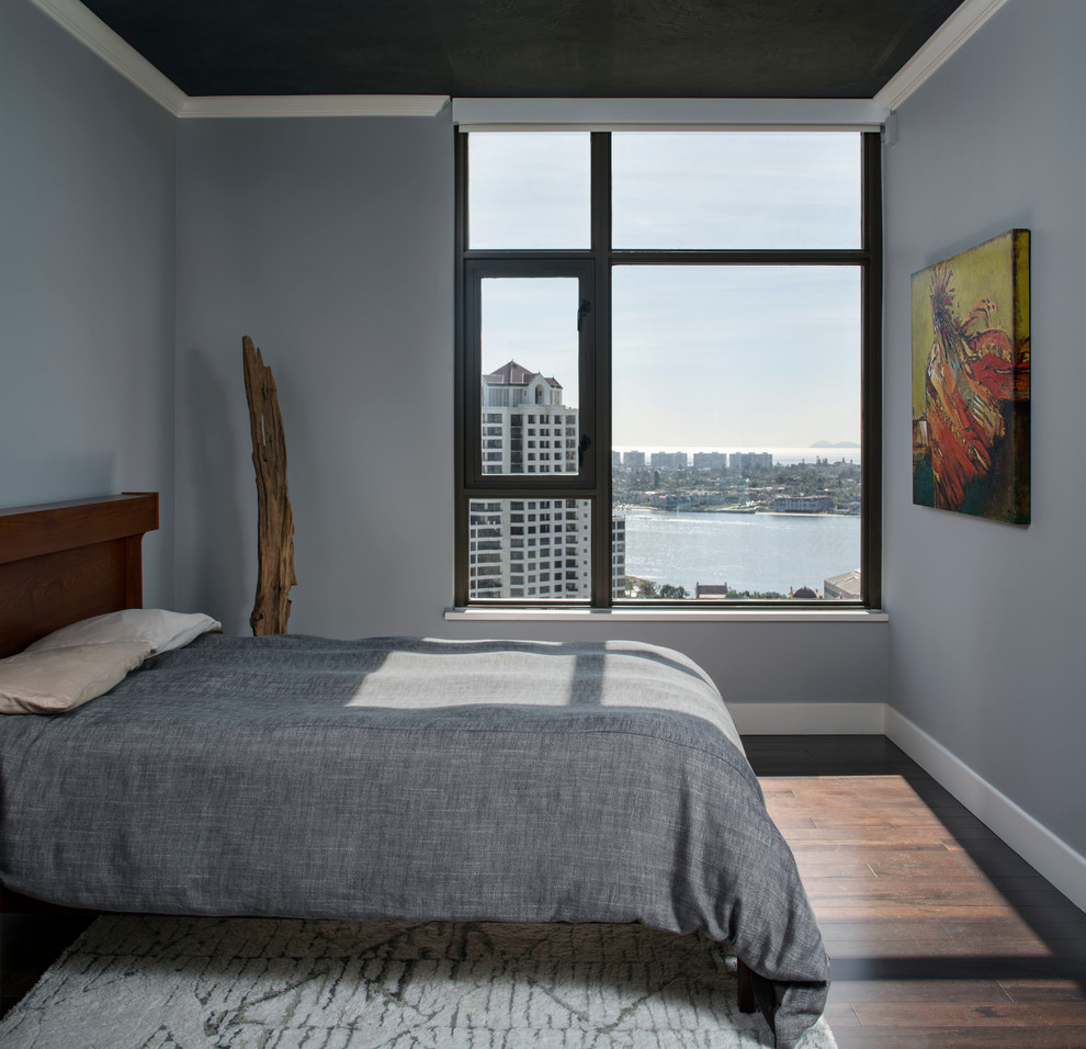 Kleines Modernes Hauptschlafzimmer ohne Kamin mit grauer Wandfarbe und dunklem Holzboden in San Francisco