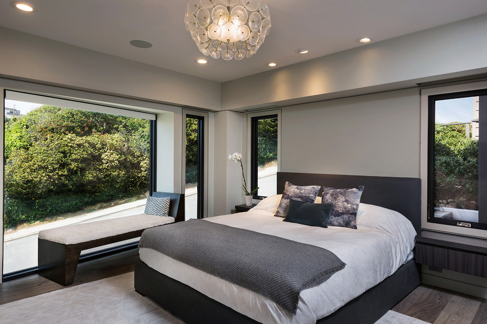 サンディエゴにある広いコンテンポラリースタイルのおしゃれな主寝室 (グレーの壁、暖炉なし、濃色無垢フローリング) のインテリア