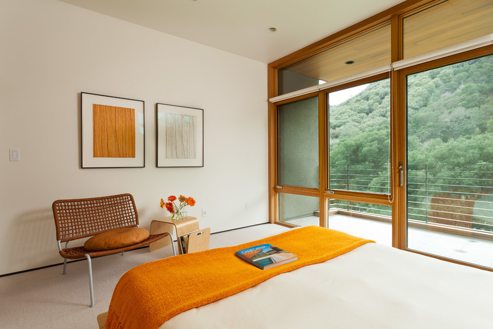 На фото: спальня в стиле модернизм с белыми стенами и ковровым покрытием без камина с