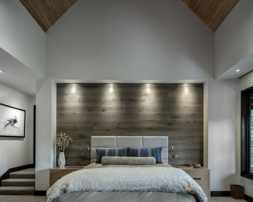 Diseño de dormitorio contemporáneo con paredes blancas, moqueta y suelo gris