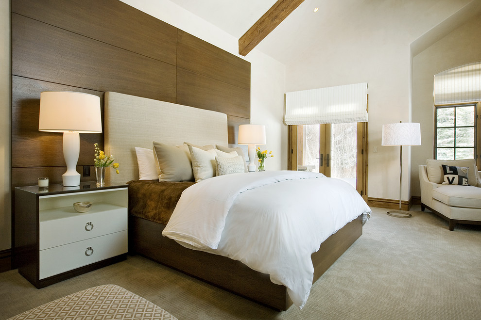 デンバーにある広いトランジショナルスタイルのおしゃれな主寝室 (ベージュの壁、カーペット敷き、照明)