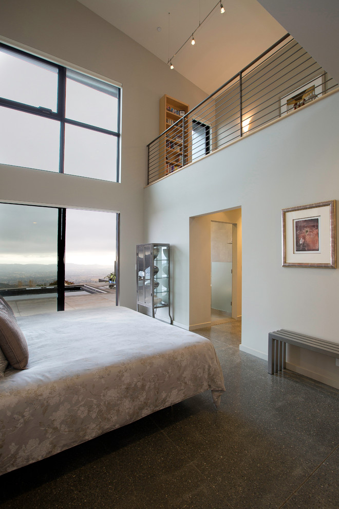 Imagen de dormitorio tipo loft minimalista grande con paredes grises y suelo de cemento
