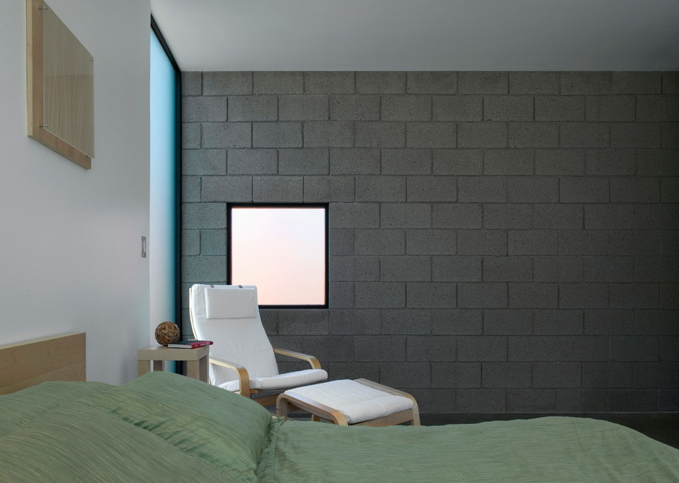 Imagen de dormitorio principal minimalista de tamaño medio sin chimenea con paredes blancas y suelo de cemento