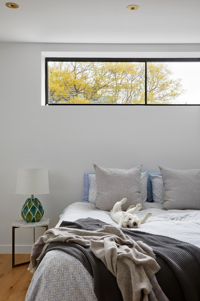 Diseño de dormitorio principal contemporáneo pequeño con paredes blancas y suelo de madera en tonos medios