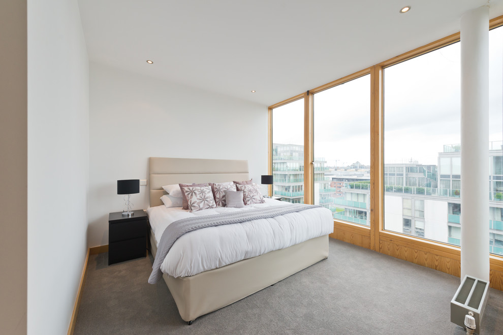 Design ideas for a modern bedroom in Dublin with white walls, carpet and grey floors.