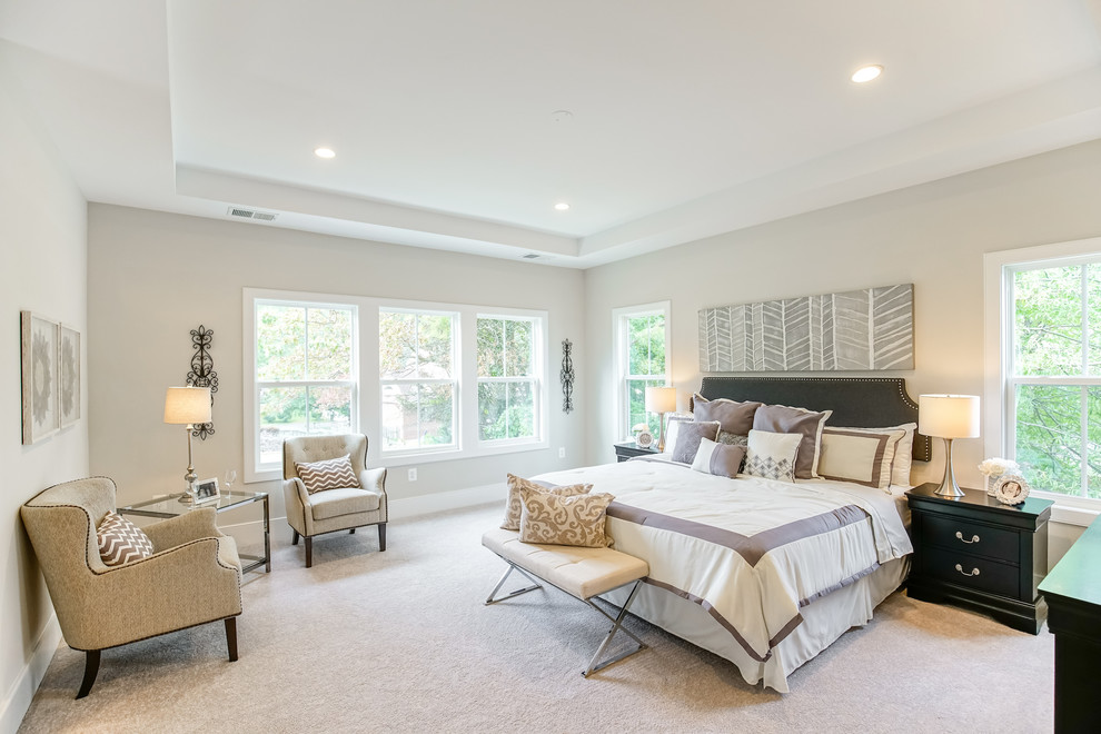This is an example of a traditional bedroom in DC Metro with grey walls, carpet and grey floors.