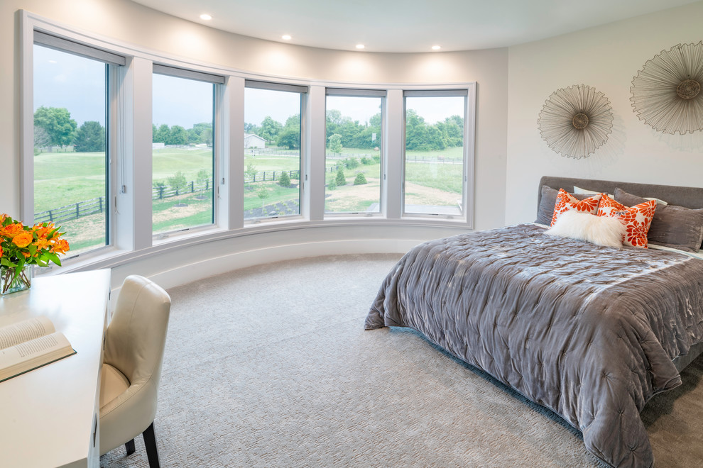 Immagine di una camera da letto minimalista di medie dimensioni con moquette e pavimento grigio