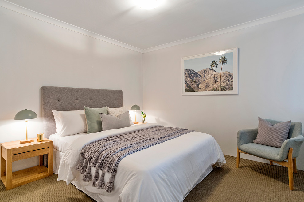 Imagen de dormitorio actual con paredes blancas, moqueta y suelo marrón