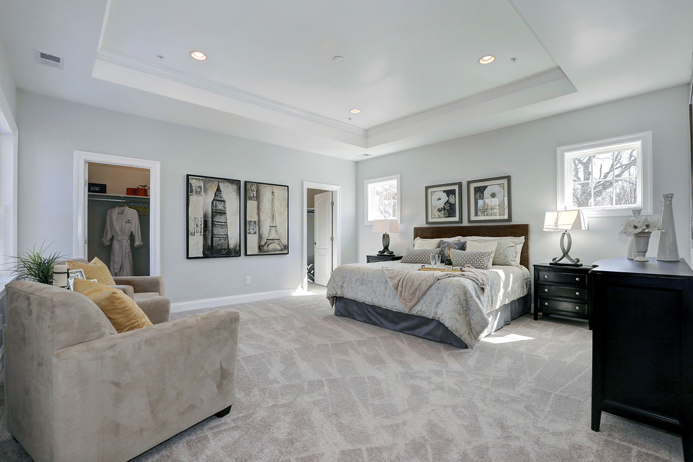 Huge transitional master carpeted bedroom photo in DC Metro with gray walls