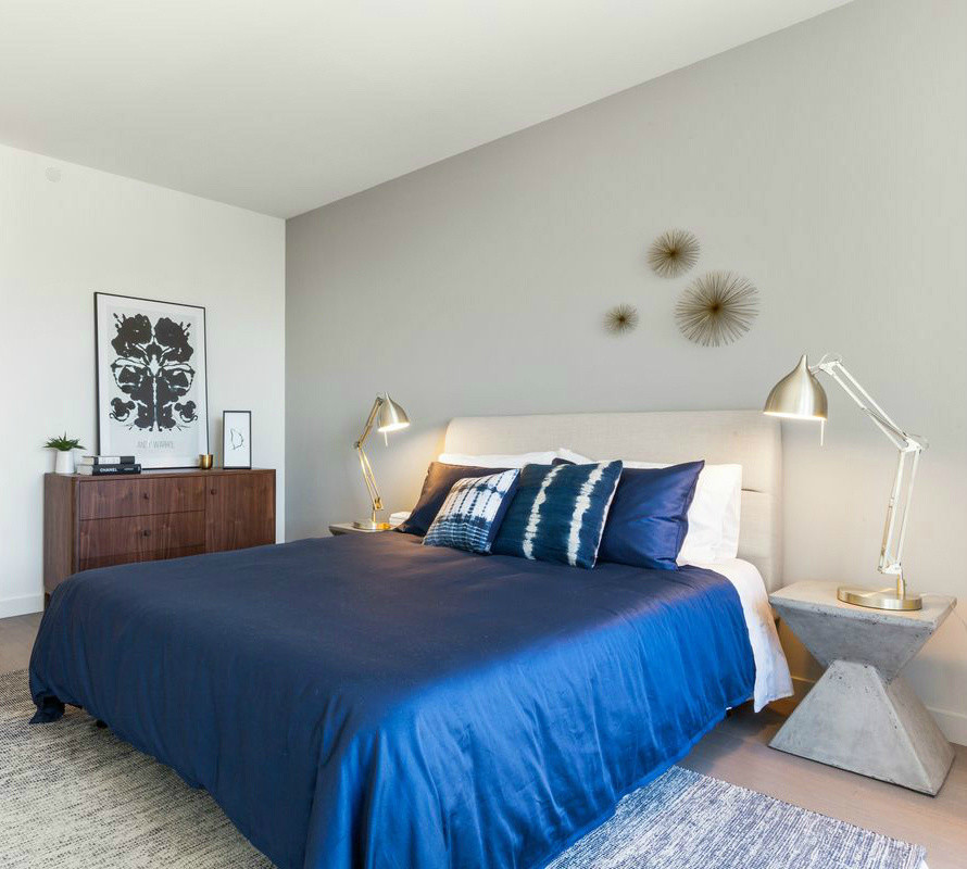 Ejemplo de dormitorio principal actual de tamaño medio sin chimenea con paredes grises y suelo de madera clara