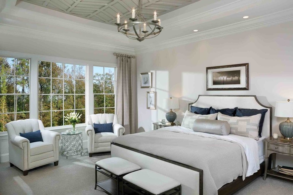 Идея дизайна: хозяйская спальня в морском стиле с ковровым покрытием и серым полом