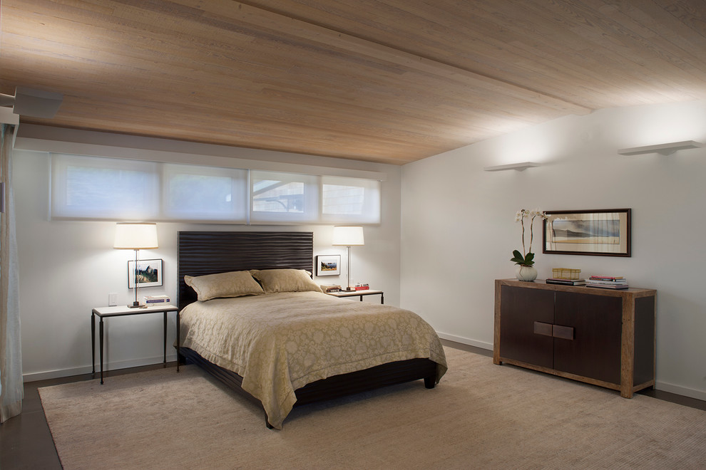 サンフランシスコにあるコンテンポラリースタイルのおしゃれな寝室 (白い壁) のインテリア
