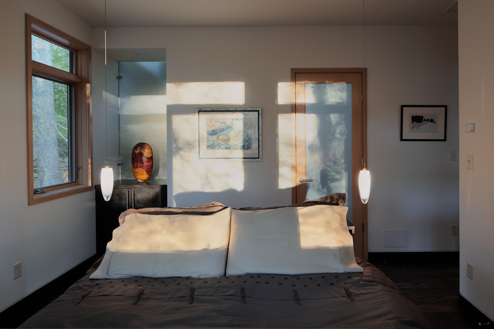Cette photo montre une petite chambre parentale moderne avec un mur blanc et parquet foncé.