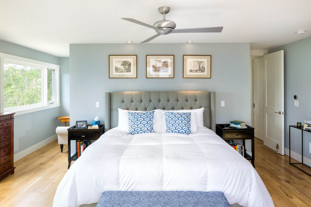 Foto de dormitorio principal minimalista con paredes azules y suelo de madera en tonos medios