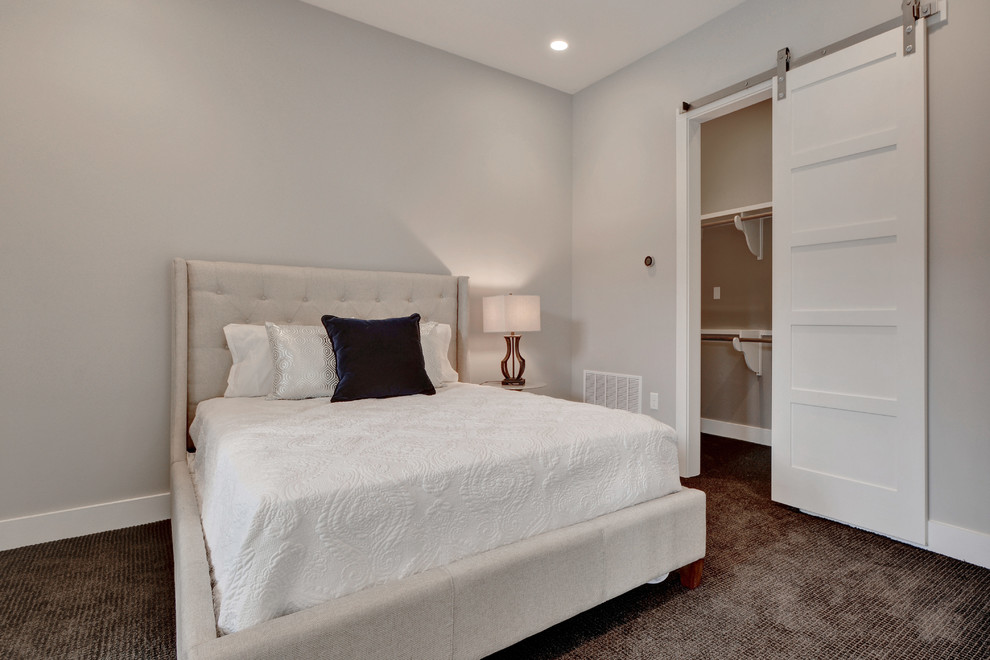 Идея дизайна: гостевая спальня среднего размера, (комната для гостей) в стиле модернизм с серыми стенами и ковровым покрытием