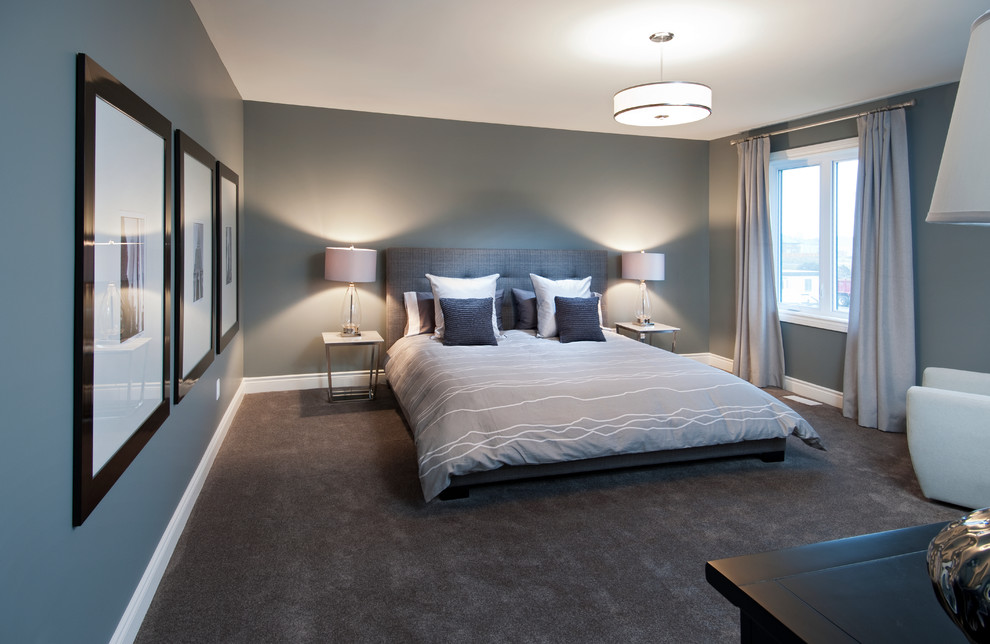 オタワにあるコンテンポラリースタイルのおしゃれな寝室のインテリア
