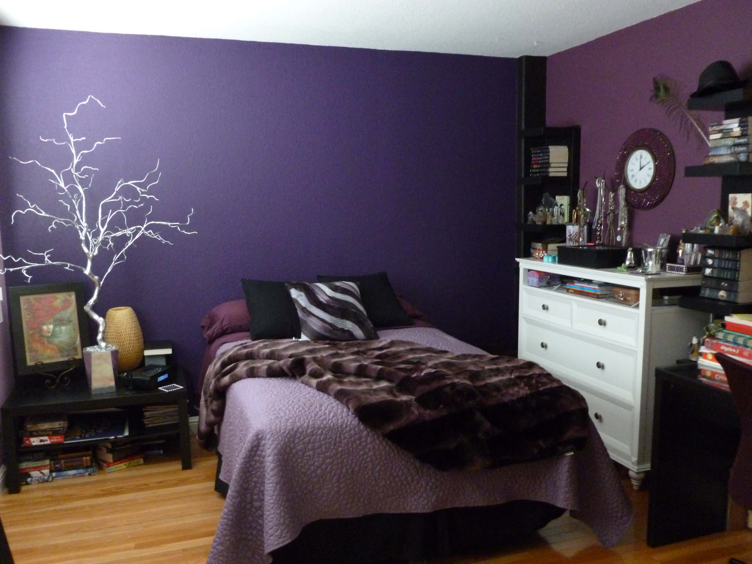 Purple Teen Room Houzz