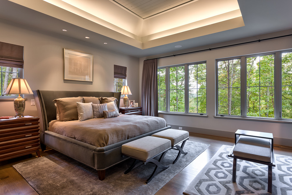 Foto de dormitorio principal contemporáneo grande con paredes grises, suelo de madera en tonos medios y suelo marrón