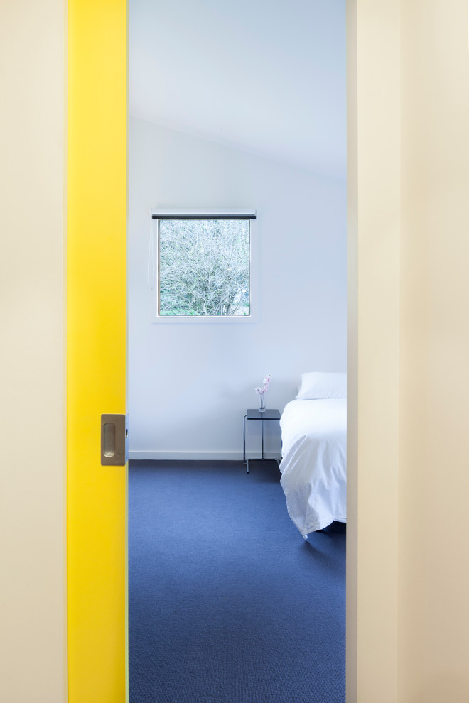 Foto di una camera degli ospiti design di medie dimensioni con pareti bianche e moquette
