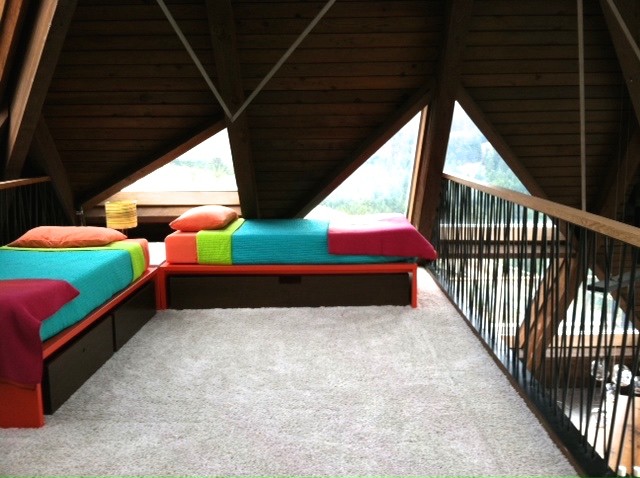 Diseño de dormitorio tipo loft moderno pequeño sin chimenea con paredes marrones y moqueta