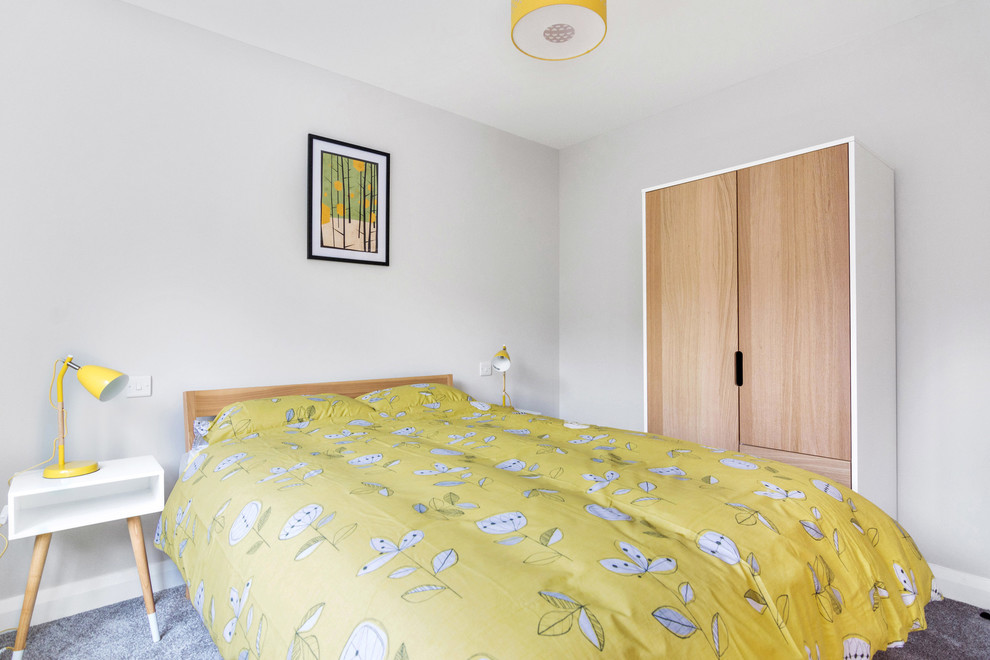 Свежая идея для дизайна: маленькая хозяйская спальня в современном стиле с серыми стенами, ковровым покрытием и серым полом для на участке и в саду - отличное фото интерьера