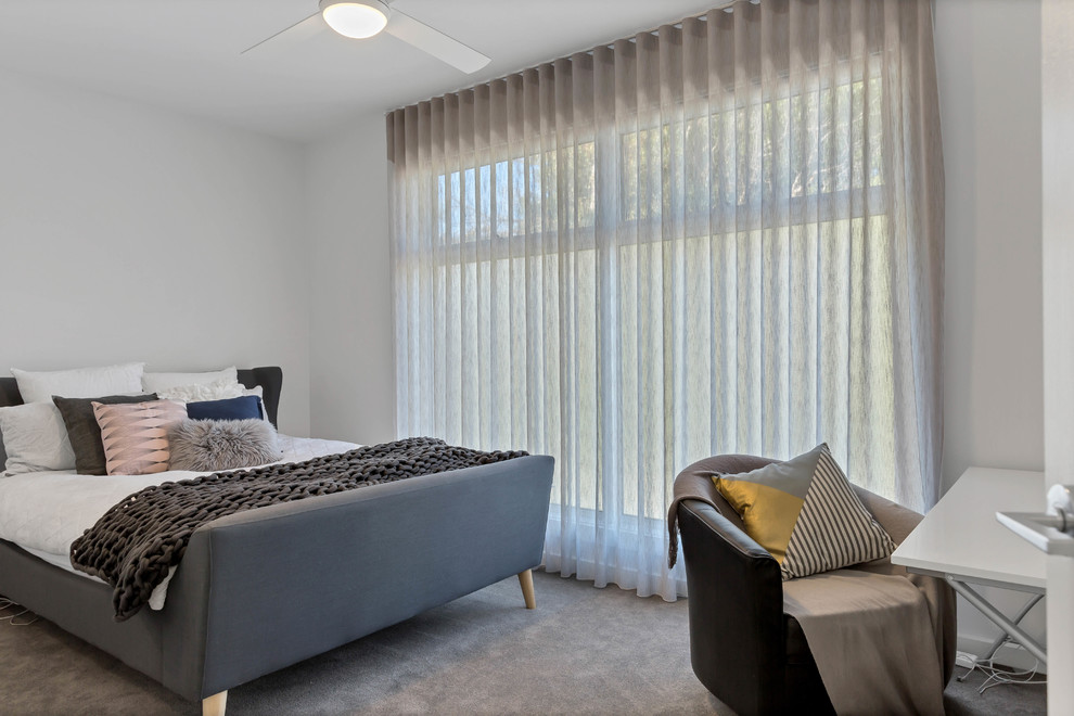 アデレードにあるコンテンポラリースタイルのおしゃれな客用寝室 (白い壁、カーペット敷き、グレーの床、シアーカーテン) のインテリア