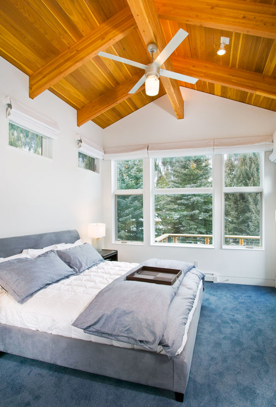 Mittelgroßes Modernes Hauptschlafzimmer ohne Kamin mit blauer Wandfarbe und Teppichboden in Denver