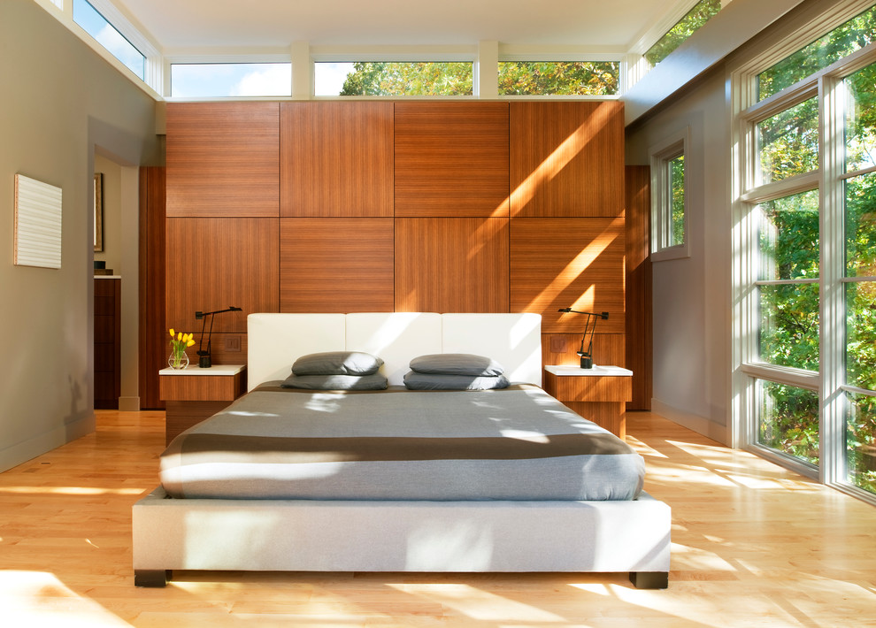 Esempio di una camera da letto design con pareti grigie e parquet chiaro