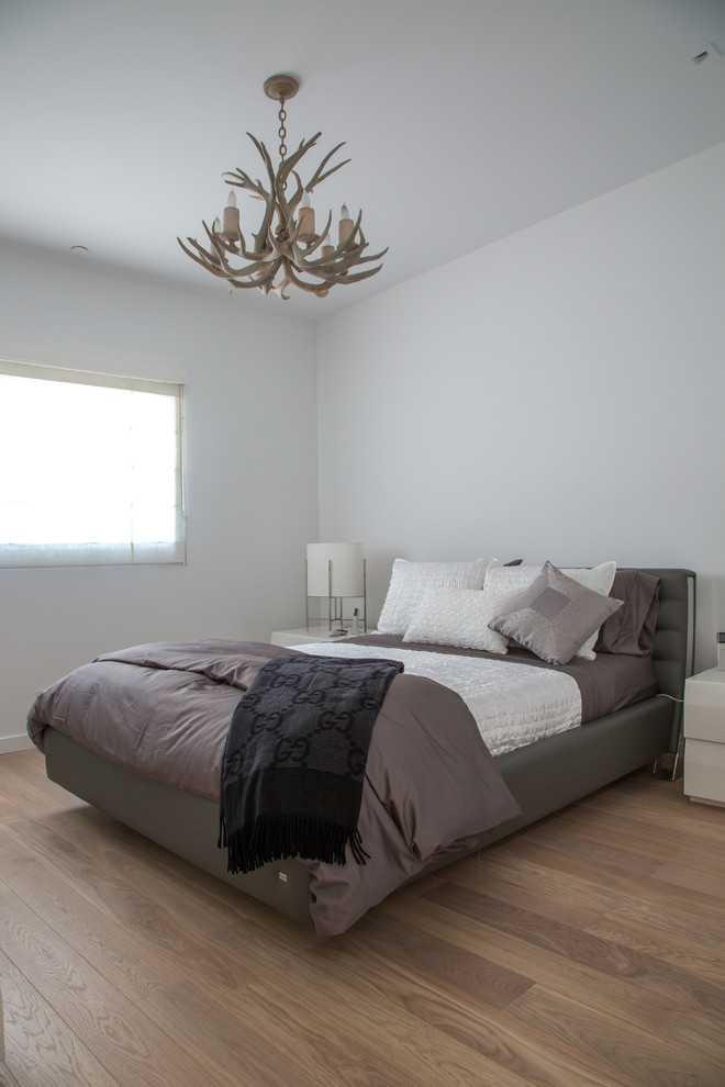 This is an example of a contemporary master and grey and brown bedroom in Los Angeles with white walls, light hardwood flooring, no fireplace and brown floors.