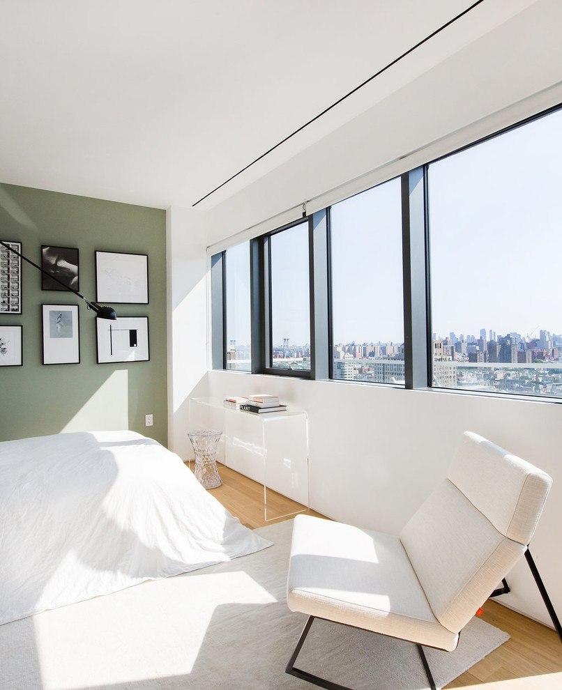 Идея дизайна: гостевая спальня среднего размера, (комната для гостей) в современном стиле с зелеными стенами