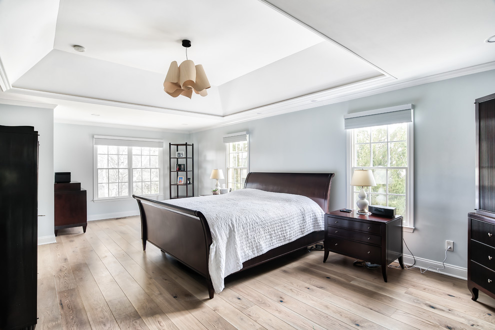 Updated Master Bedroom with Tray Ceiling - Transitional - Bedroom - New