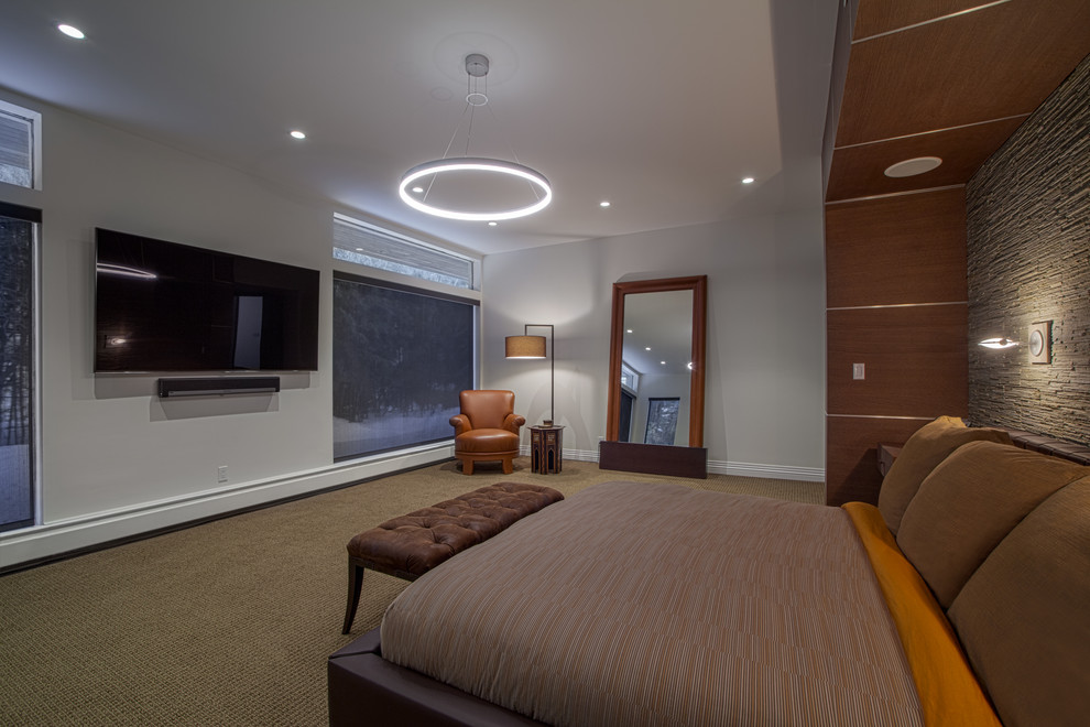 Свежая идея для дизайна: большая хозяйская спальня в стиле модернизм с серыми стенами и ковровым покрытием без камина - отличное фото интерьера