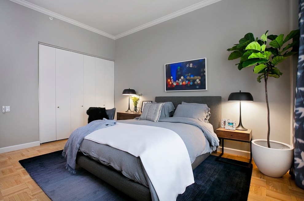 Modelo de habitación de invitados actual de tamaño medio sin chimenea con paredes grises y moqueta