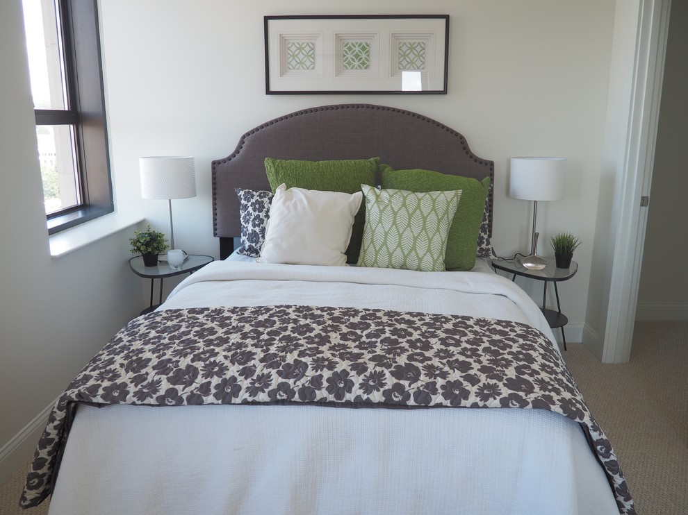Inspiration for a mid-sized transitional master carpeted bedroom remodel in Manchester with white walls and no fireplace