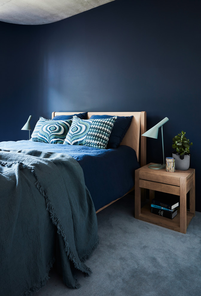 Ejemplo de habitación de invitados contemporánea de tamaño medio sin chimenea con paredes azules, moqueta y suelo azul