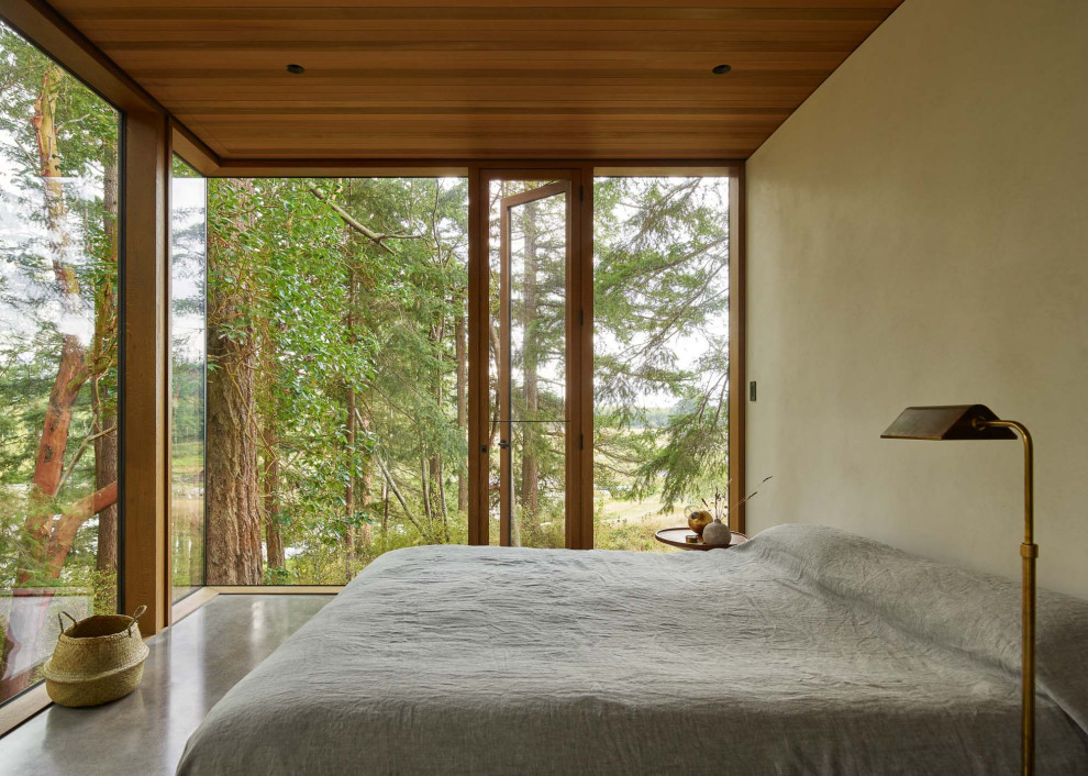 Свежая идея для дизайна: гостевая спальня (комната для гостей) в современном стиле с бетонным полом - отличное фото интерьера