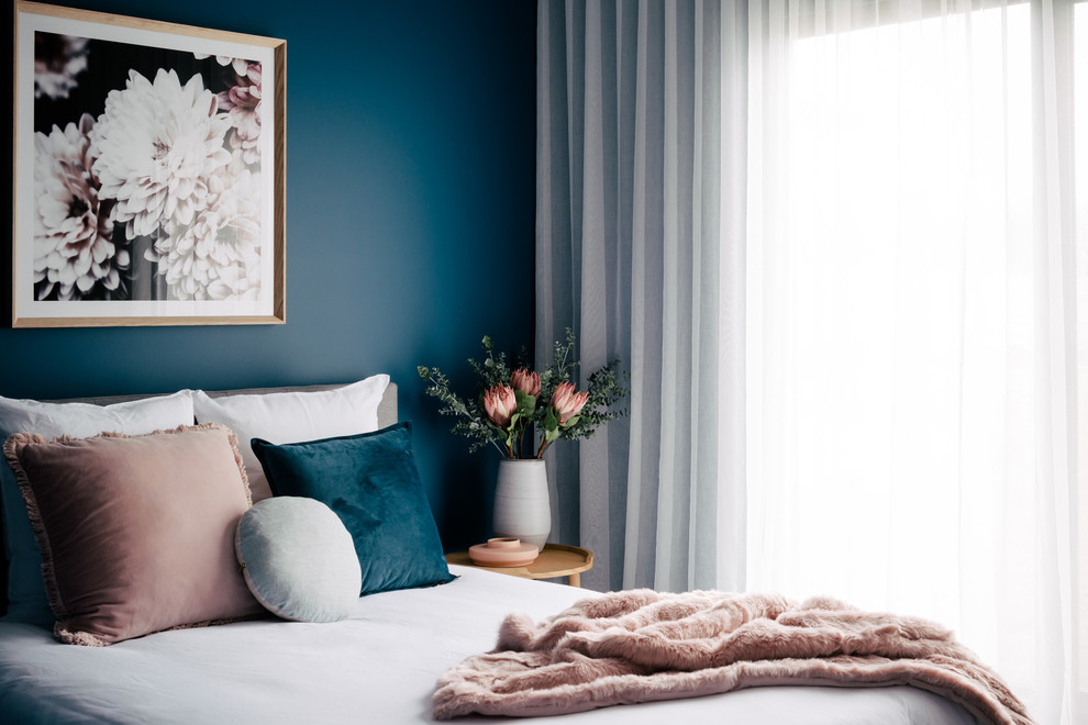 Mittelgroßes Modernes Gästezimmer mit blauer Wandfarbe, Teppichboden und grauem Boden in Hobart