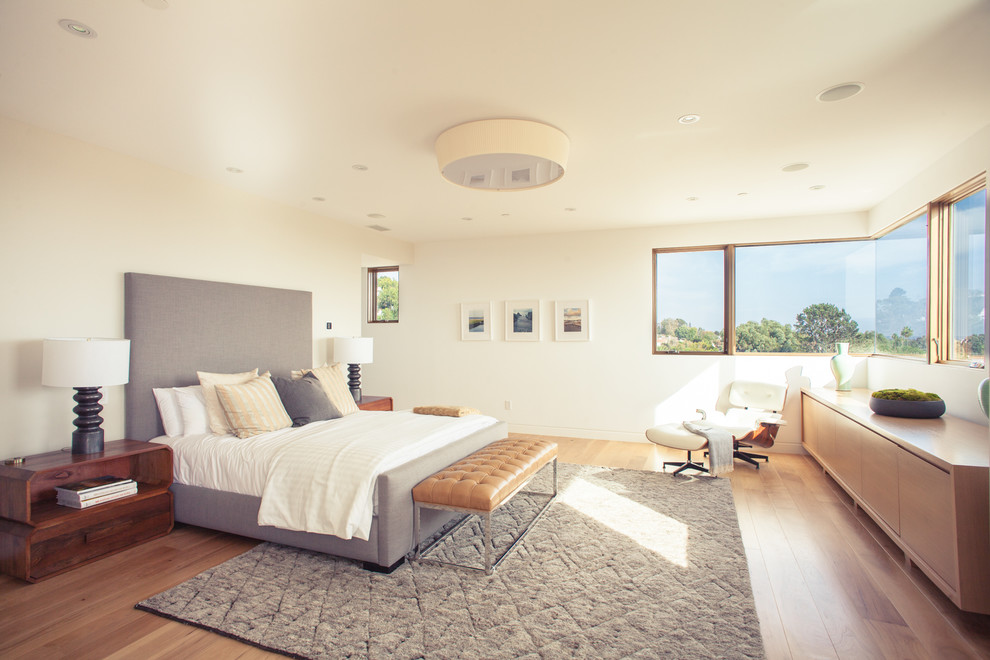 Imagen de dormitorio actual con paredes blancas y suelo de madera en tonos medios