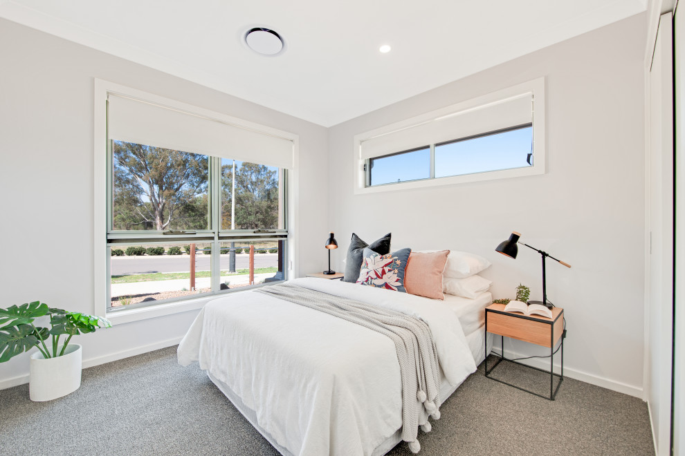 Kleines Modernes Hauptschlafzimmer mit grauer Wandfarbe, Teppichboden und grauem Boden in Newcastle - Maitland