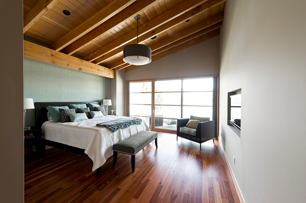 Foto de dormitorio principal rústico grande con paredes grises y suelo de madera oscura