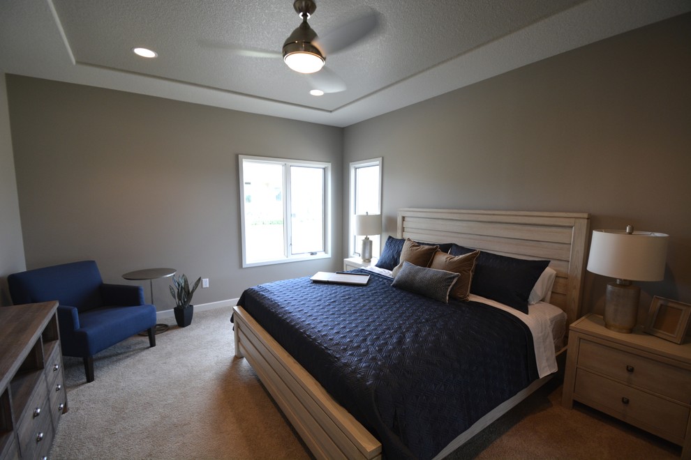 Medium sized contemporary master bedroom in Other with grey walls, carpet and no fireplace.