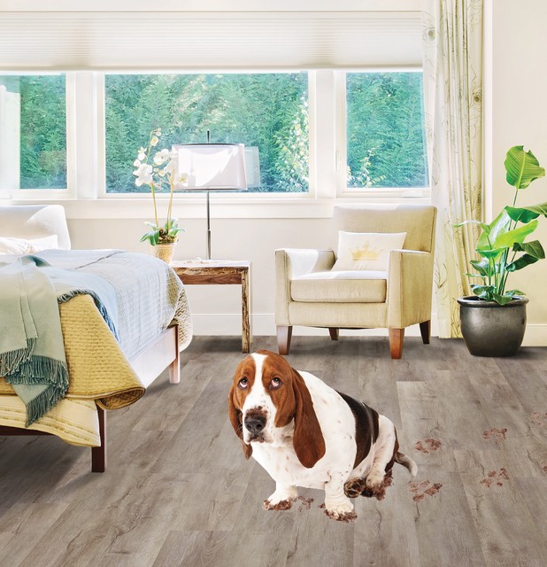 Wisdom Tight Fit Plank Wheat Bedroom Baltimore by CARPET & WOOD