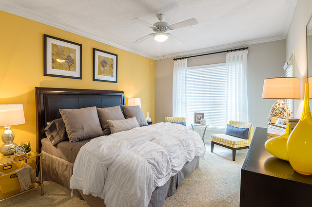 Yellow Accent Wall Bedroom - Transitional - Bedroom - Atlanta - by Valerie  Ryan Photography | Houzz IE