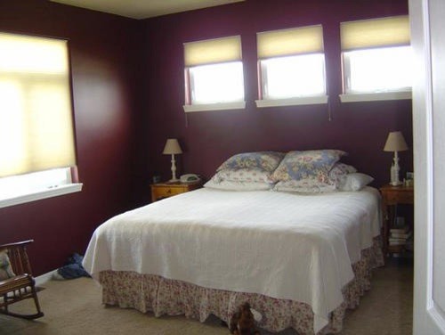 Diseño de dormitorio de estilo americano de tamaño medio sin chimenea con paredes púrpuras y moqueta