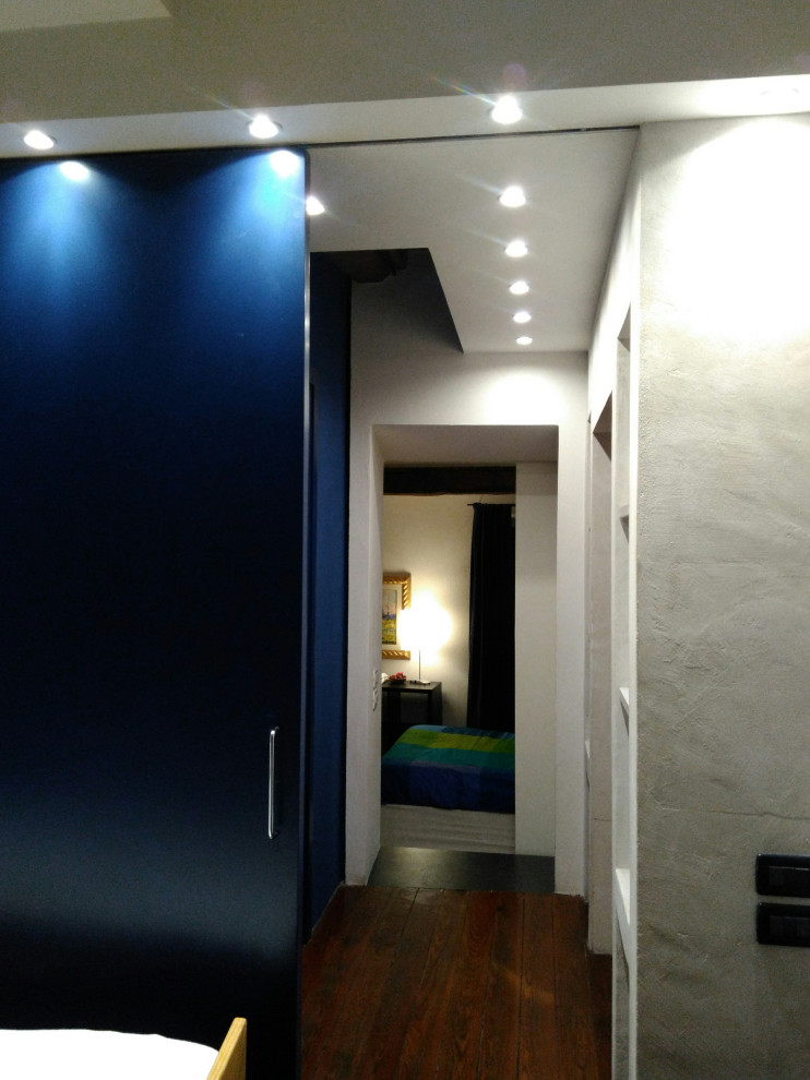 Mittelgroßes Modernes Schlafzimmer mit dunklem Holzboden in Sonstige
