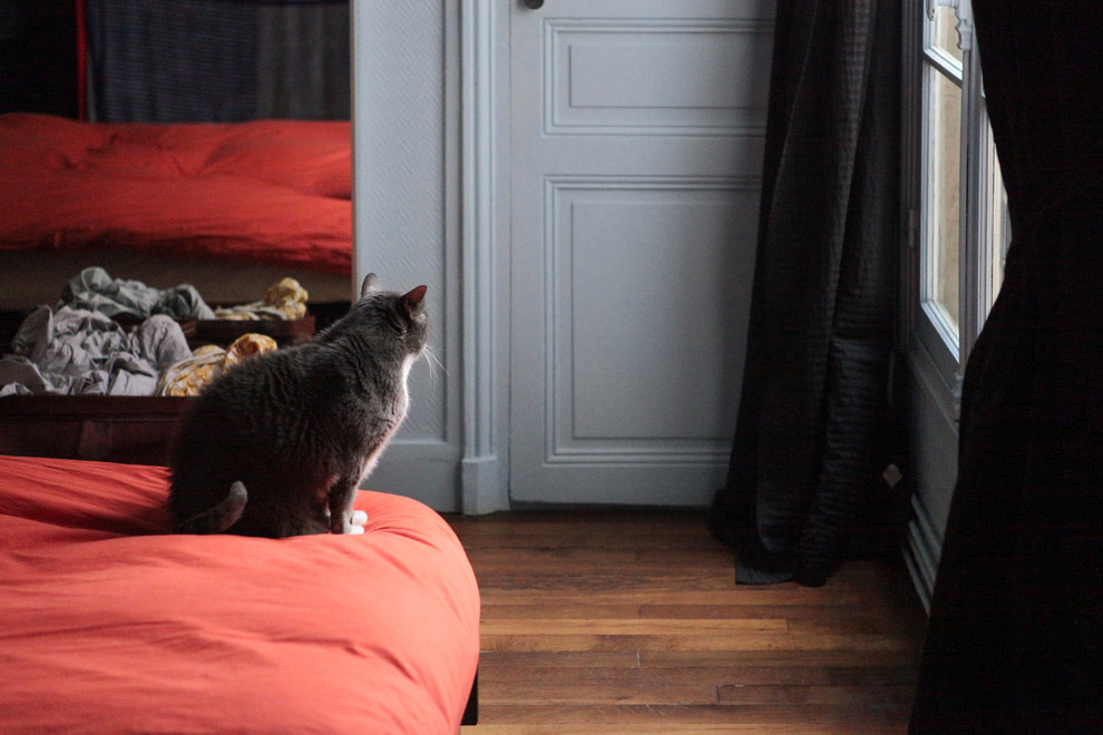 パリにある中くらいなコンテンポラリースタイルのおしゃれな主寝室 (青い壁、無垢フローリング、コーナー設置型暖炉、金属の暖炉まわり、茶色い床) のインテリア