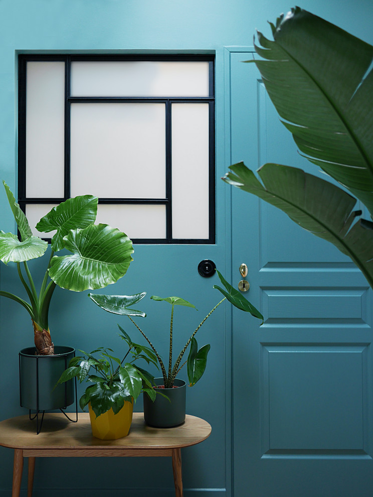 Imagen de habitación de invitados minimalista de tamaño medio con paredes azules, suelo de madera clara y suelo beige