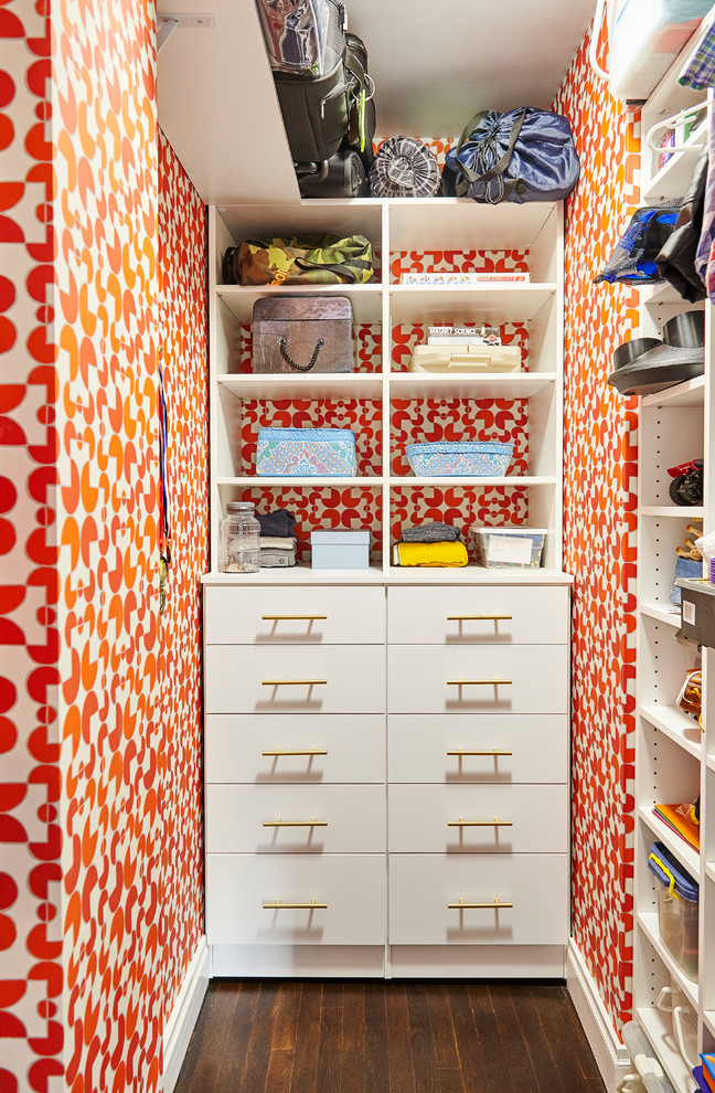 Art Deco apartment renovation Transitional Closet New York by