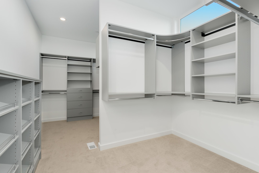 Ejemplo de armario vestidor unisex minimalista de tamaño medio con armarios con paneles lisos, puertas de armario grises, moqueta y suelo gris