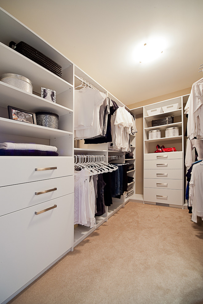 Trendy carpeted walk-in closet photo in Other with white cabinets
